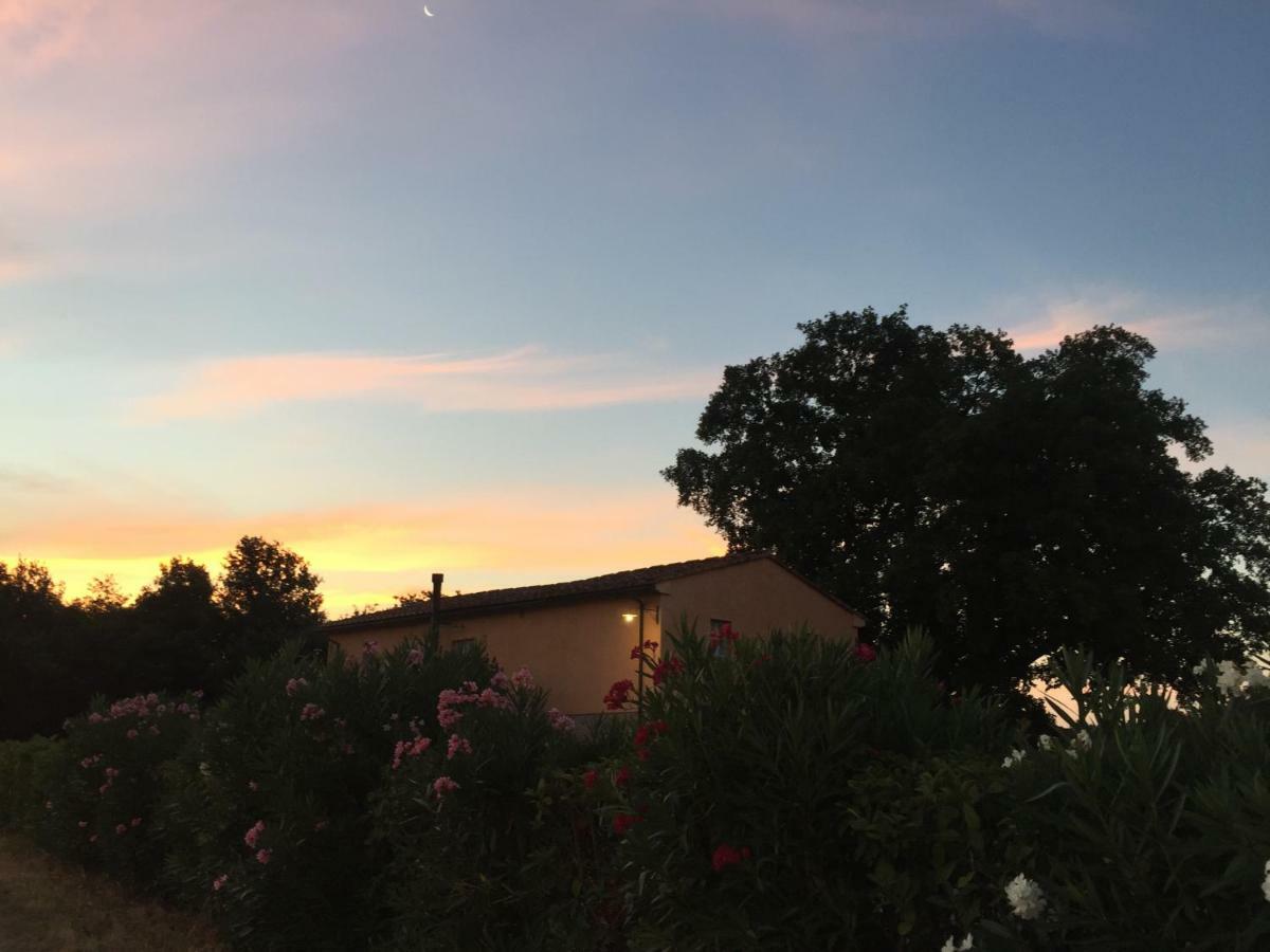 Agriturismo Pieve De Pitti Terricciola エクステリア 写真
