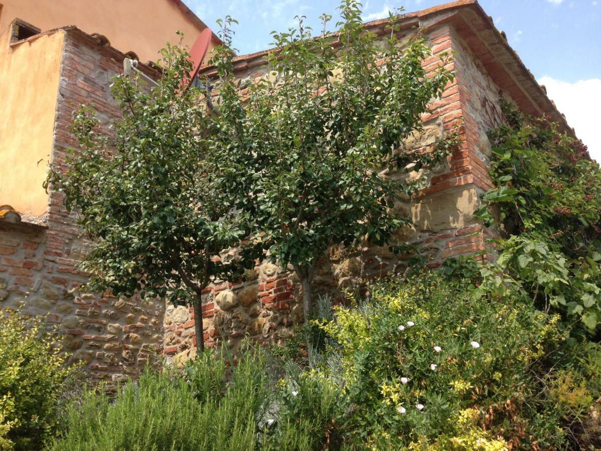 Agriturismo Pieve De Pitti Terricciola エクステリア 写真