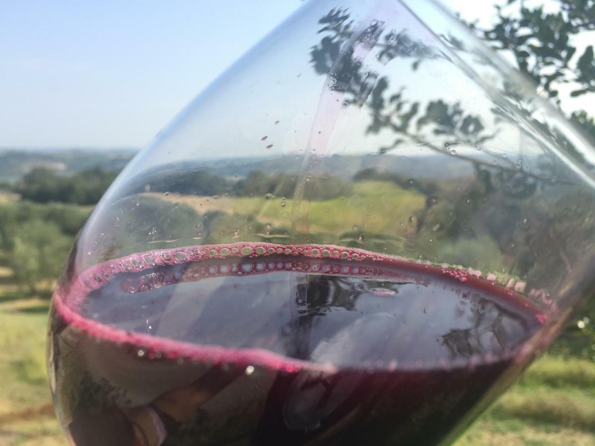Agriturismo Pieve De Pitti Terricciola エクステリア 写真