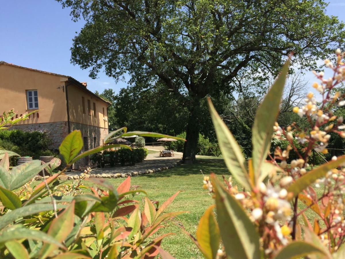 Agriturismo Pieve De Pitti Terricciola エクステリア 写真