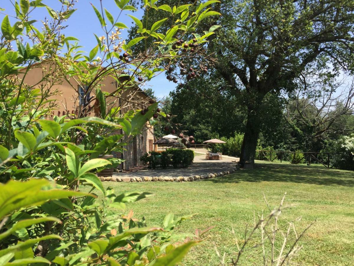 Agriturismo Pieve De Pitti Terricciola エクステリア 写真