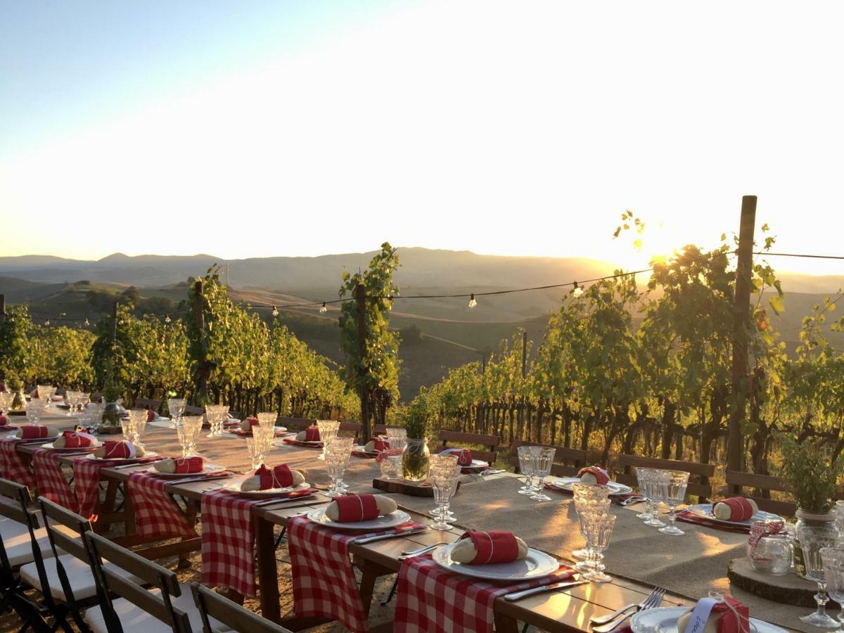 Agriturismo Pieve De Pitti Terricciola エクステリア 写真