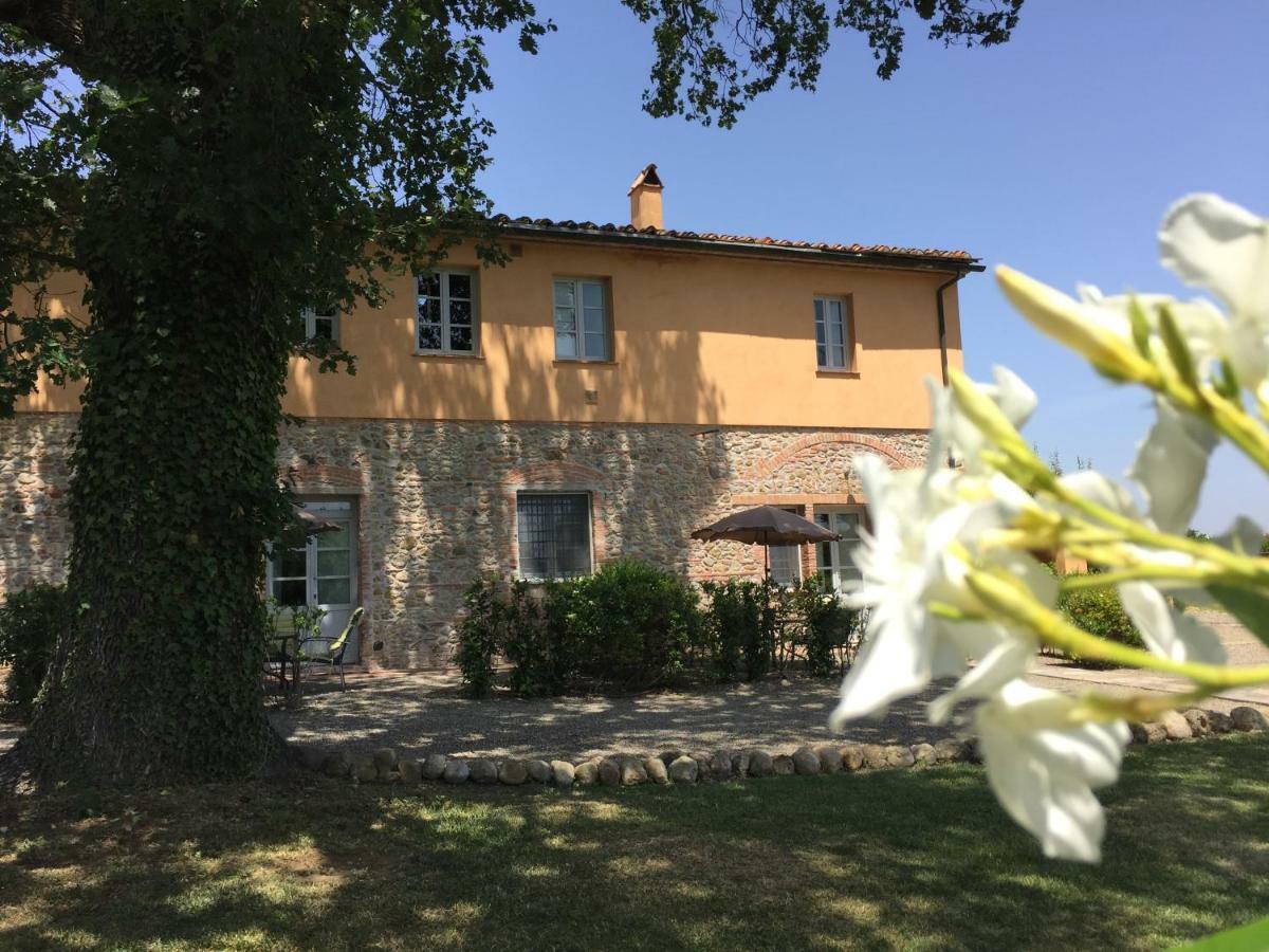 Agriturismo Pieve De Pitti Terricciola エクステリア 写真