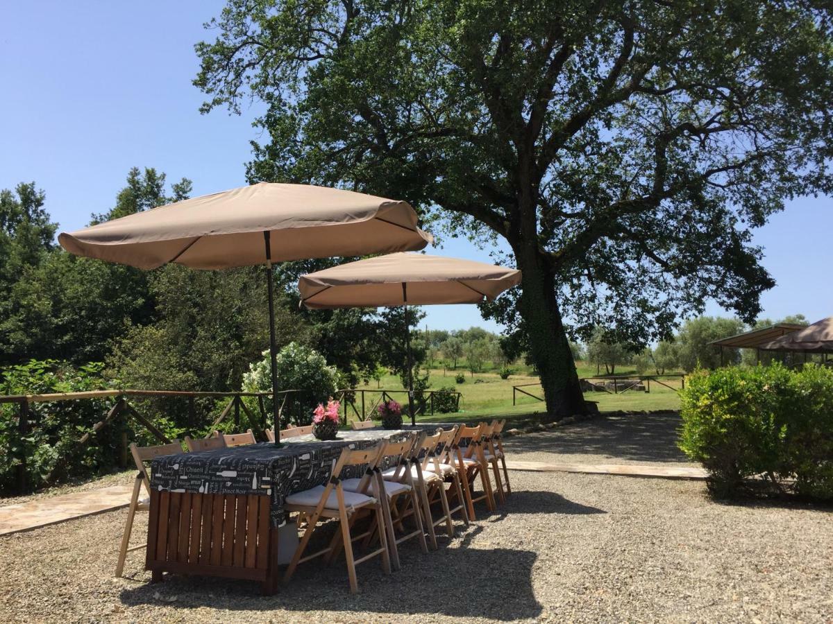 Agriturismo Pieve De Pitti Terricciola エクステリア 写真