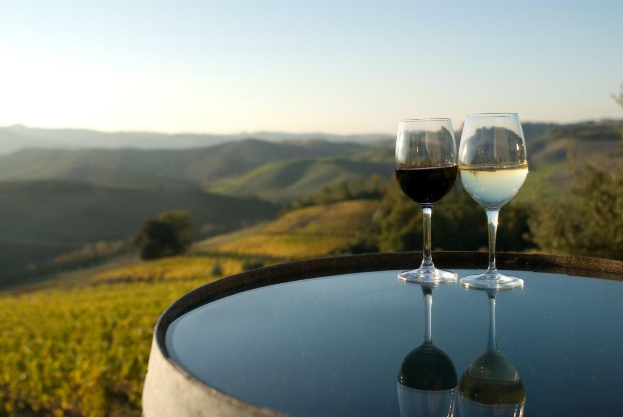 Agriturismo Pieve De Pitti Terricciola エクステリア 写真