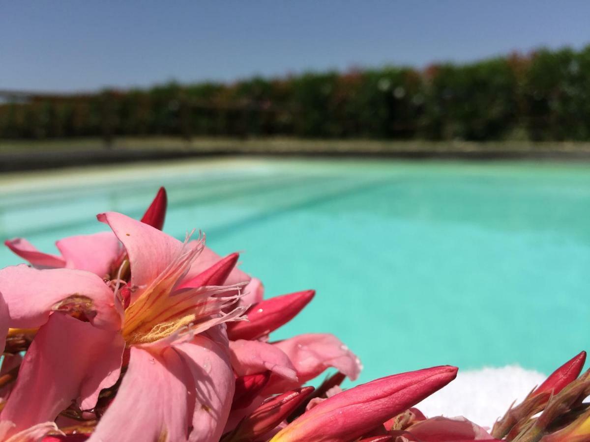 Agriturismo Pieve De Pitti Terricciola エクステリア 写真