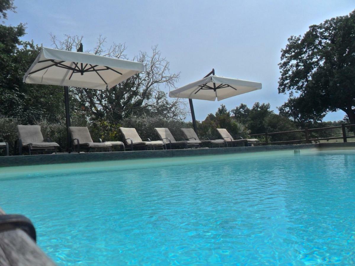 Agriturismo Pieve De Pitti Terricciola エクステリア 写真
